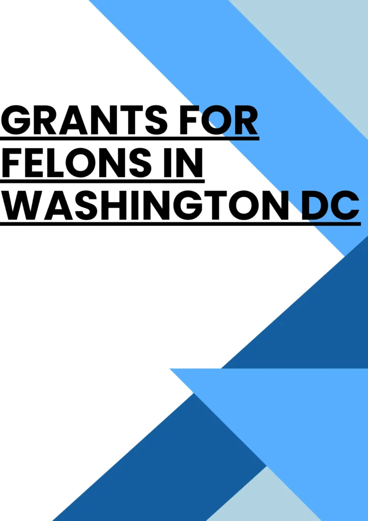 Grants for Felons in Washington DC